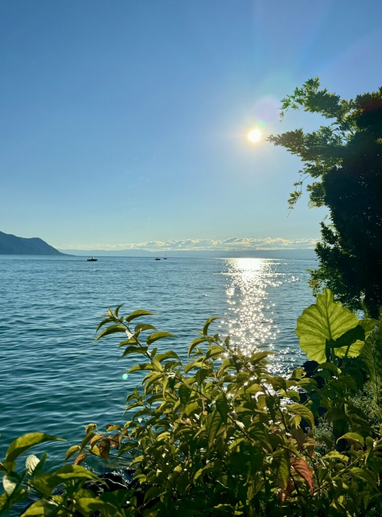 Nous trouver – Vétéo - Cabinet Vétérinaire Montreux