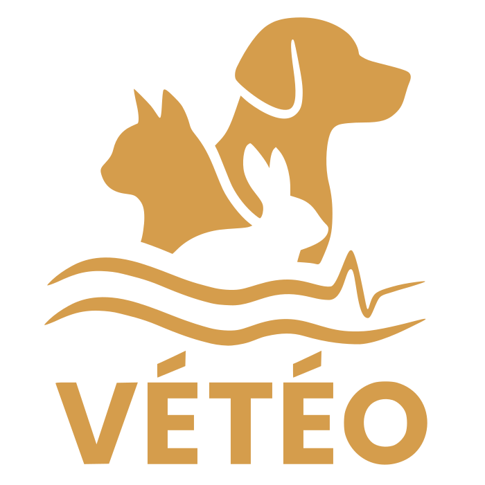 Accueil – Vétéo - Cabinet Vétérinaire Montreux