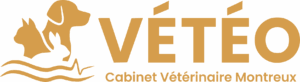 Logo horizontal du cabinet vétérinaire Vétéo à Montreux Territet