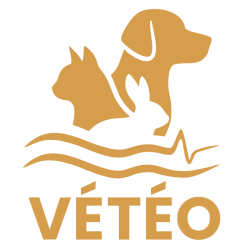 Logo du Cabinet Vétérinaire Vétéo
